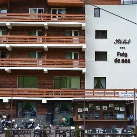 Cabana Fulg De Nea Predeal Exteriör bild