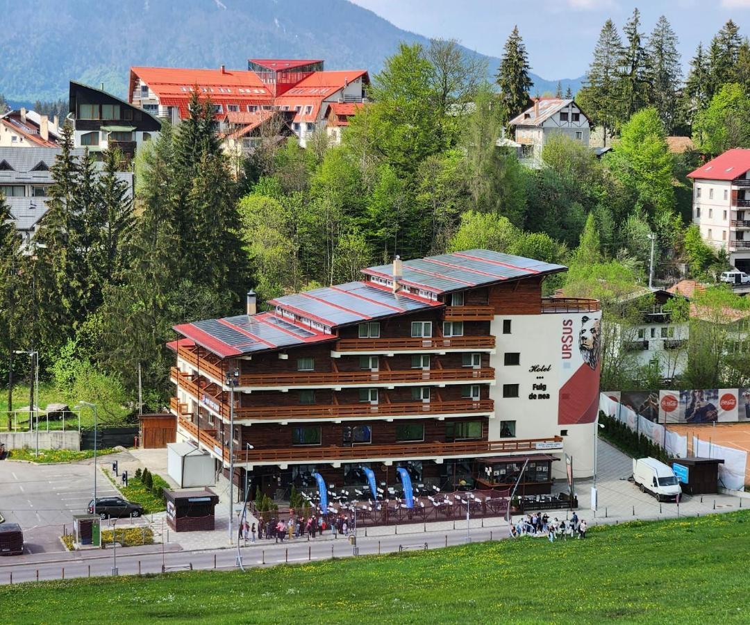 Cabana Fulg De Nea Predeal Exteriör bild