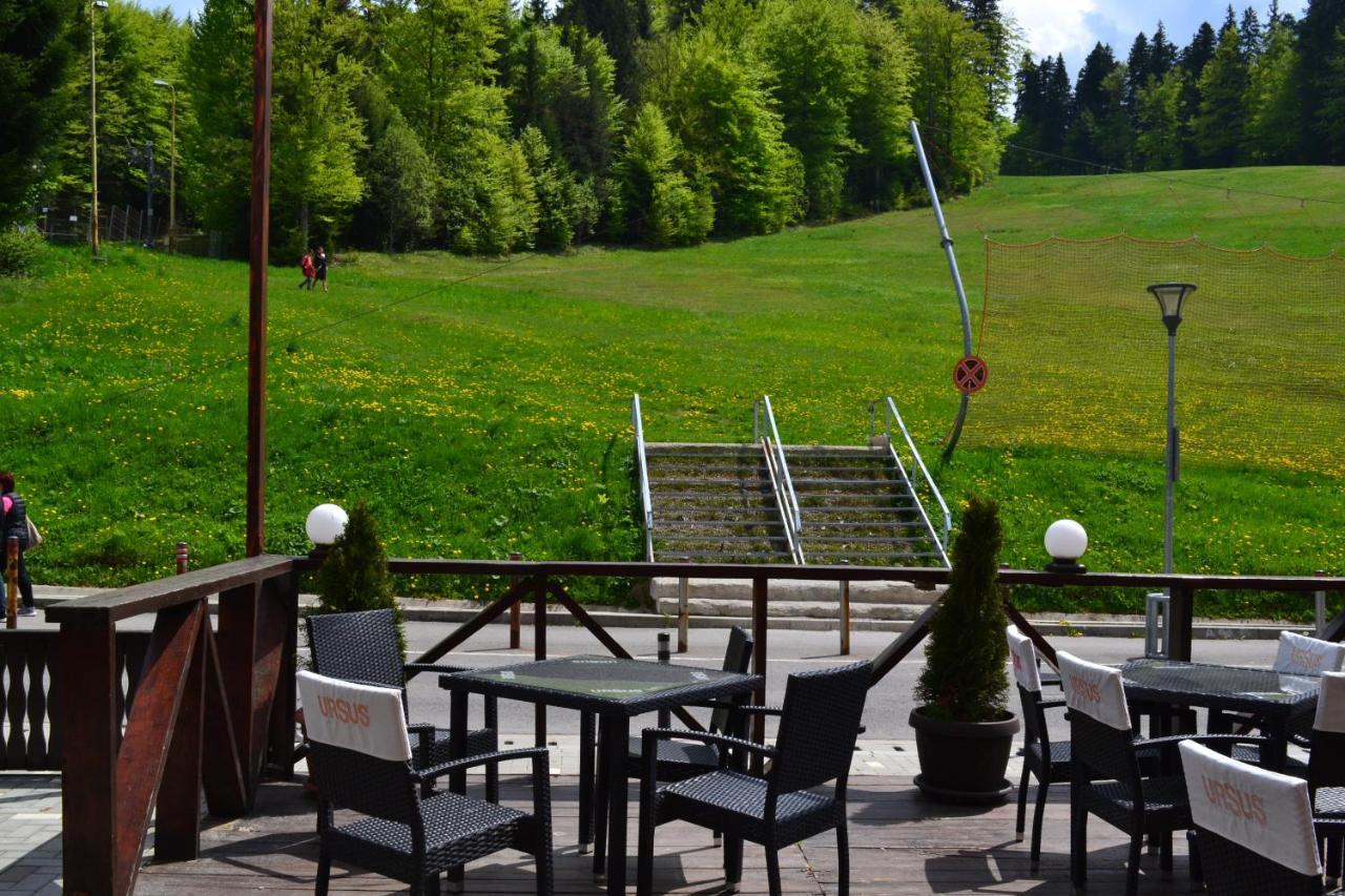 Cabana Fulg De Nea Predeal Exteriör bild